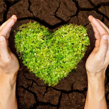 Hands protecting a green heart on arid soil.