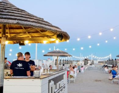 hoteldeiplatani en july-at-the-seaside-in-miramare-di-rimini-with-services-for-families-1 026